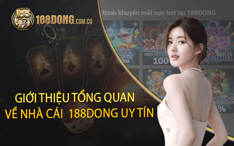 Giới thiệu tổng quan về nhà cái  188dong uy tín 